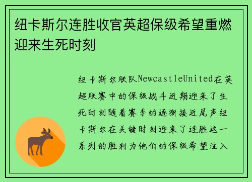 纽卡斯尔连胜收官英超保级希望重燃迎来生死时刻