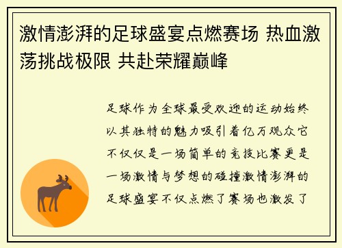 激情澎湃的足球盛宴点燃赛场 热血激荡挑战极限 共赴荣耀巅峰